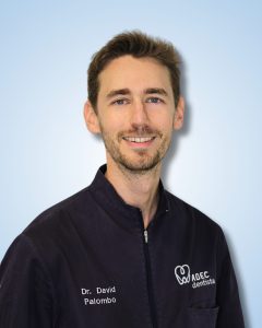 Dr. David Palombo